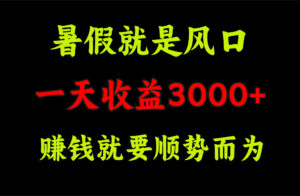 （11670期）一天收益3000+ 赚钱就是顺势而为，暑假就是风口-网创资源