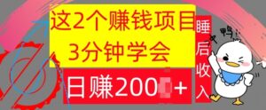 这2个项目，3分钟学会，日赚几张，懒人捡钱-网创资源