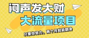 （11688期）闷声发大财，大流量项目，月收益过3万，只要你努力，两个月就能翻身-网创资源