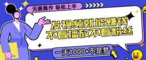 无脑操作，发视频就能赚钱，不看播放不看粉丝，小白轻松上手-网创资源