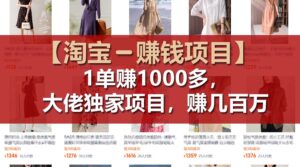 （11685期）【淘宝赚钱项目】1单可赚1000多，大佬独家项目，年赚几百万-网创资源