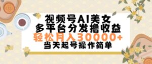 （11684期）视频号AI美女，轻松月入30000+,操作简单轻松上手-网创资源
