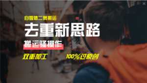 （11682期）去重新思路，详细教你自媒体视频二剪搬运技术，自己加工双重去重100%过…-网创资源