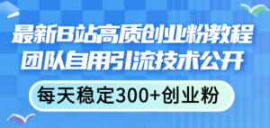 （11661期）全新B站高品质自主创业粉实例教程，精英团队自购引流技术公布，每日平稳300 自主创业粉-网创资源