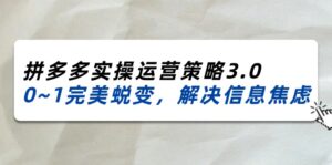 （11658期）2024_2025拼多多平台实际操作运营战略3.0，0~1华丽蜕变，处理信息焦虑（38节）-网创资源