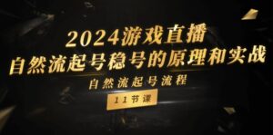 （11653期）2024游戏直播-自然流起号稳号的原理和实战，自然流起号流程（11节）-网创资源