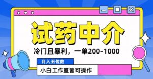 冷门且暴利的试药中介项目，一单利润200~1000.月入五位数，小白工作室皆可操作-网创资源