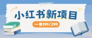 小红书新项目，一单199 一天买好几单，月入过W不是梦-网创资源