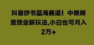 抖音抄书蓝海赛道，中视频变现全新玩法，小白也可月入2W+-网创资源