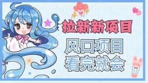 （11613期）拉新界的新玩法，风口项目，看完就会，动手就有-网创资源