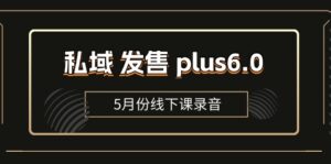 （11612期）私域 发售 plus6.0【5月份线下课录音】/全域套装 sop流程包，社群发售…-网创资源