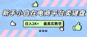 （11610期）新手小白在电商平台卖键盘，日入2K+最真实教学-网创资源