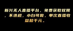 新兴无人直播平台，免费获取权限，不违规，小白可做，单次直播收益超千元-网创资源
