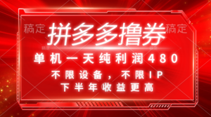 （11597期）拼多多平台撸券，单机版一天净利润480，后半年收益更高，不分机器设备，不分IP。-网创资源