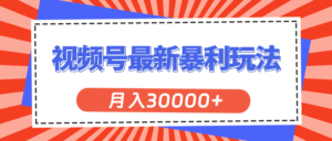 （11588期）微信视频号全新爆利游戏玩法，轻轻松松月入30000-网创资源