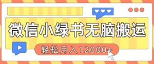 微信小绿书无脑搬运，复制粘贴原创作品，每天30分钟，月轻松过W-网创资源