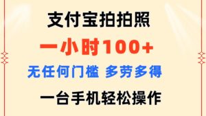 （11584期）支付宝钱包拍照 一小时100  没有任何门坎  能者多劳 一台手机轻轻松松实际操作-网创资源