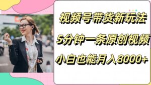 视频号带货新玩法，5分钟一条原创视频，小白也能月入8000+-网创资源