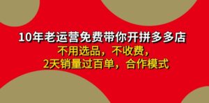 （11576期）拼多多-合作开店日入4000+两天销量过百单，无学费、老运营教操作、小白…-网创资源