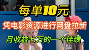 凭借电影资源进行网盘拉新，每单可得 10 元收益-网创资源