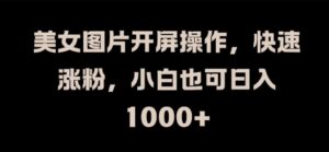 美女图片开屏操作，快速涨粉，小白也可日入1k【揭秘】-网创资源