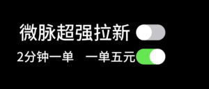 （11580期）微脉超强拉新， 两分钟1单， 一单利润5块，适合小白-网创资源