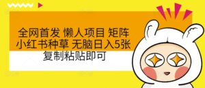 全网首发 懒人项目 矩阵小红书种草 无脑日入5张 复制粘贴即可-网创资源