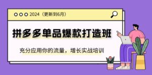 （11556期）2024拼多多平台-品类爆款打造班(升级6月)，充分应用你的流量，提高实战培训-网创资源