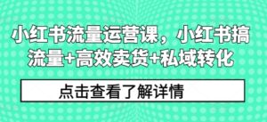 小红书流量运营课，小红书搞流量+高效卖货+私域转化-网创资源
