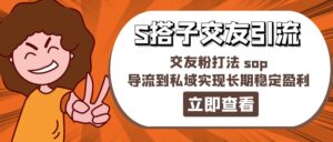 （11548期）某收费标准888-S搭子交朋友引流方法，交朋友粉玩法 sop，引流到公域实现长期高抛低吸-网创资源