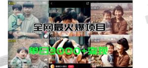 （11546期）各大网站爆红的AI让老照片动起来实例教程，借势营销日赚3000 ，含有完全免费专用工具一键…-网创资源