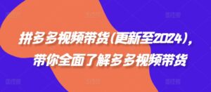 拼多多视频带货(更新至2024)，带你全面了解多多视频带货-网创资源
