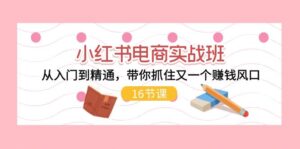 （11533期）小红书电商实战演练班，实用教程，陪你把握住又一个挣钱出风口（16节）-网创资源