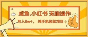 （11524期）2024最赚钱的项目，咸鱼，小红书无脑操作，每单利润500+，轻松月入5万+…-网创资源
