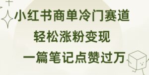 小红书商单冷门赛道 一篇笔记点赞过万 轻松涨粉变现-网创资源