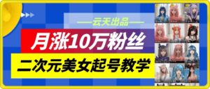 云天二次元美女起号教学，月涨10万粉丝，不判搬运-网创资源