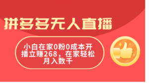 （11521期）拼多多平台无人直播，新手在家里0粉0成本费播出立赚268，在家里轻轻松松月入千余-网创资源