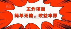 王炸福利项目，兼职全职都可做，操作无脑简单-网创资源
