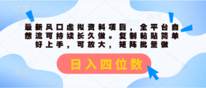 （11509期）全新出风口虚似材料新项目，全网平台自然流可持续性长期做。拷贝 日入四位数-网创资源