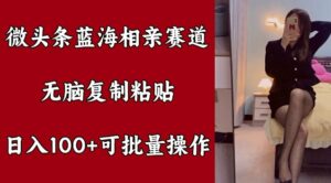 微头条蓝海相亲赛道，无脑复制粘贴，日入100+，可批量操作-网创资源