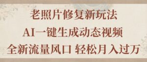 （11503期）老照片翻新新模式，旧照片AI一键生成动态图片 全新升级总流量出风口 轻轻松松月入了万-网创资源
