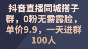 （11502期）抖音直播间同城网搭子群，0粉不用漏脸，价格9.9，一天入群100人-网创资源