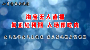（11483期）七月份淘宝无人直播最新玩法，入场即吃肉，真正实现躺着也能赚钱-网创资源