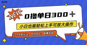 （11490期）全过程0撸，单日300 ，新手也可以快速上手可变大实际操作-网创资源