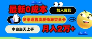 2024最新0成本售卖爱奇艺会员，月入2w+，小白当天上手-网创资源