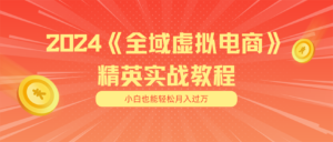 （11484期）月入五位数 干就完了 适合白的全域虚似电商项目（无水印教程 交货指南）-网创资源