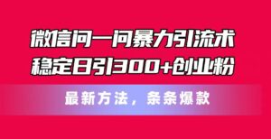 （11486期）手机微信问一问暴力行为引流术，平稳日引300 自主创业粉，全新方式，一条条爆品-网创资源