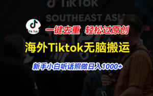 （11487期）国外Tiktok小视频没脑子运送，一键去重轻松突破原创设计，新手入门照着做日入…-网创资源