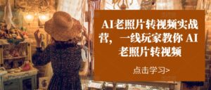 （11477期）AI旧照片转短视频实操训练营，一线游戏玩家教大家AI旧照片转短视频-网创资源