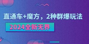 （11479期）2024全新升级无边：淘宝直通车 三阶魔方，2物种爆游戏玩法-网创资源